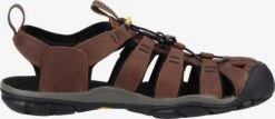 Keen Schoenen Sandalen CLEARWATER CNX Heren Brokaat -Kleding Verkoop 743d55e973117997079cee6326557323
