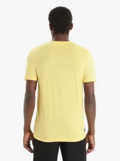 Icebreaker Functionele Shirts Functioneel Shirt Heren Geel -Kleding Verkoop e6264bae8d85b27ccf9f694ac71830f2